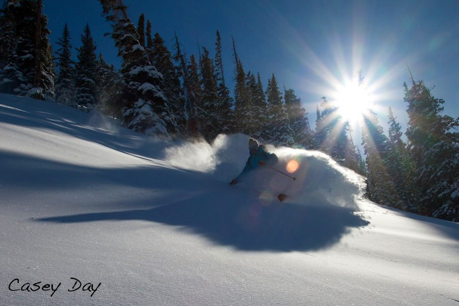 Powder skiing by Casey Day