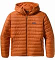 2011 Patagonia Down Sweater Hoody