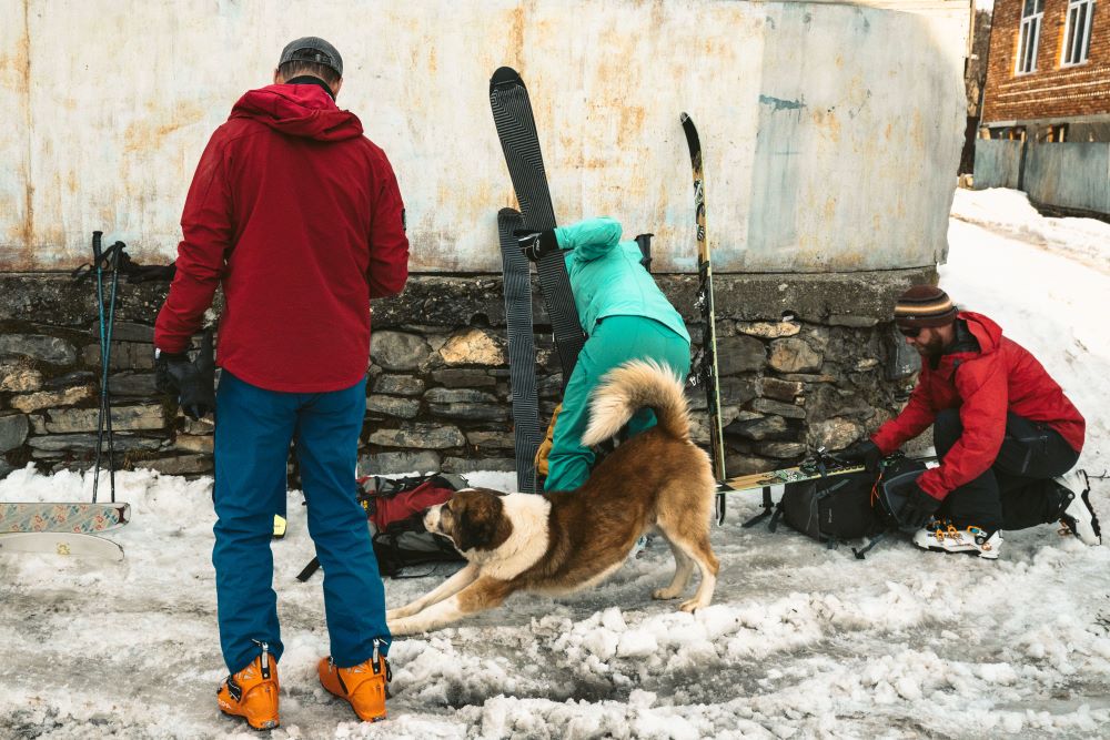 skiing in georgia
