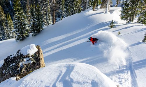 How to Ski Powder with Owen Leeper