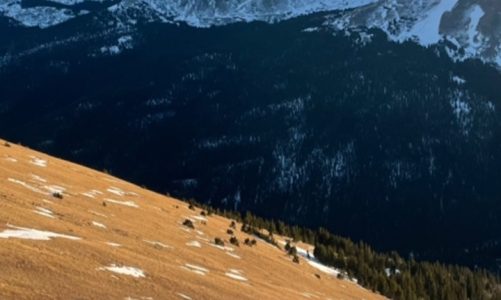 Low and Slow Early Season Snowpack: Should You Panic?
