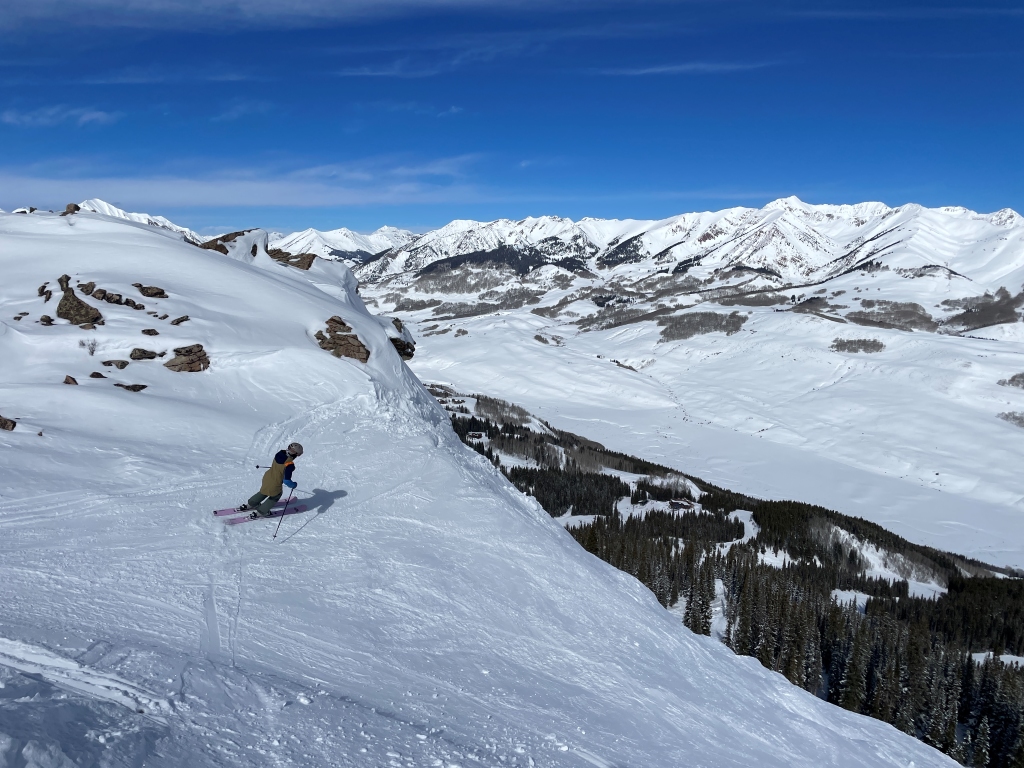 skiing dps wailer 100 in bumps
