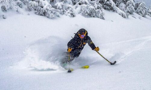 7% of Sales for the High Fives Foundation