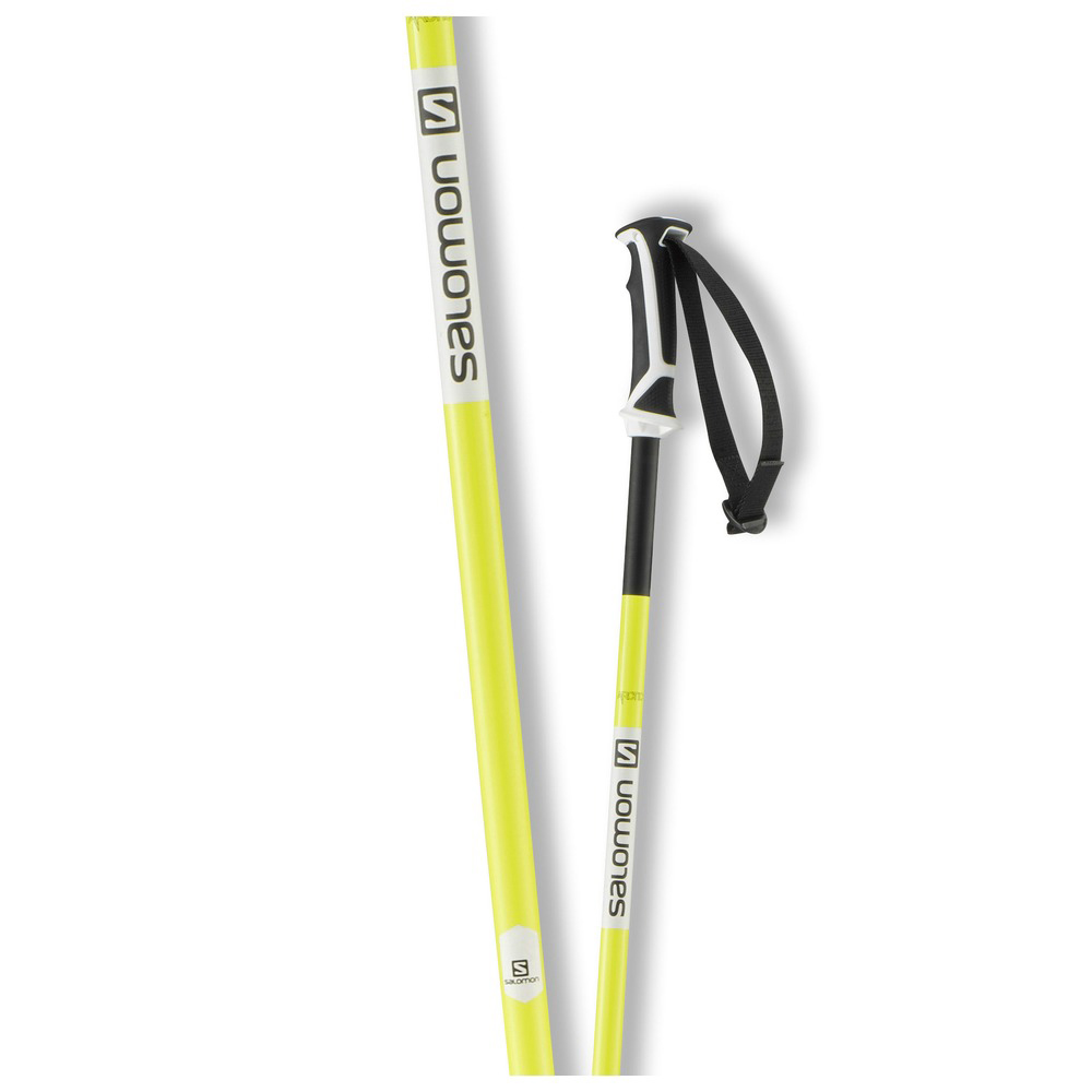 salomon arctic ski poles 2018 Salomon Arctic Ski Poles
