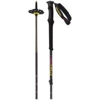 サロモン　Salomon 「mtn alu s3」 Amazon | サロモン(SALOMON) スキー ストック・ポール MTN ALU S3