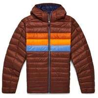 Acorn Stripes (2023)