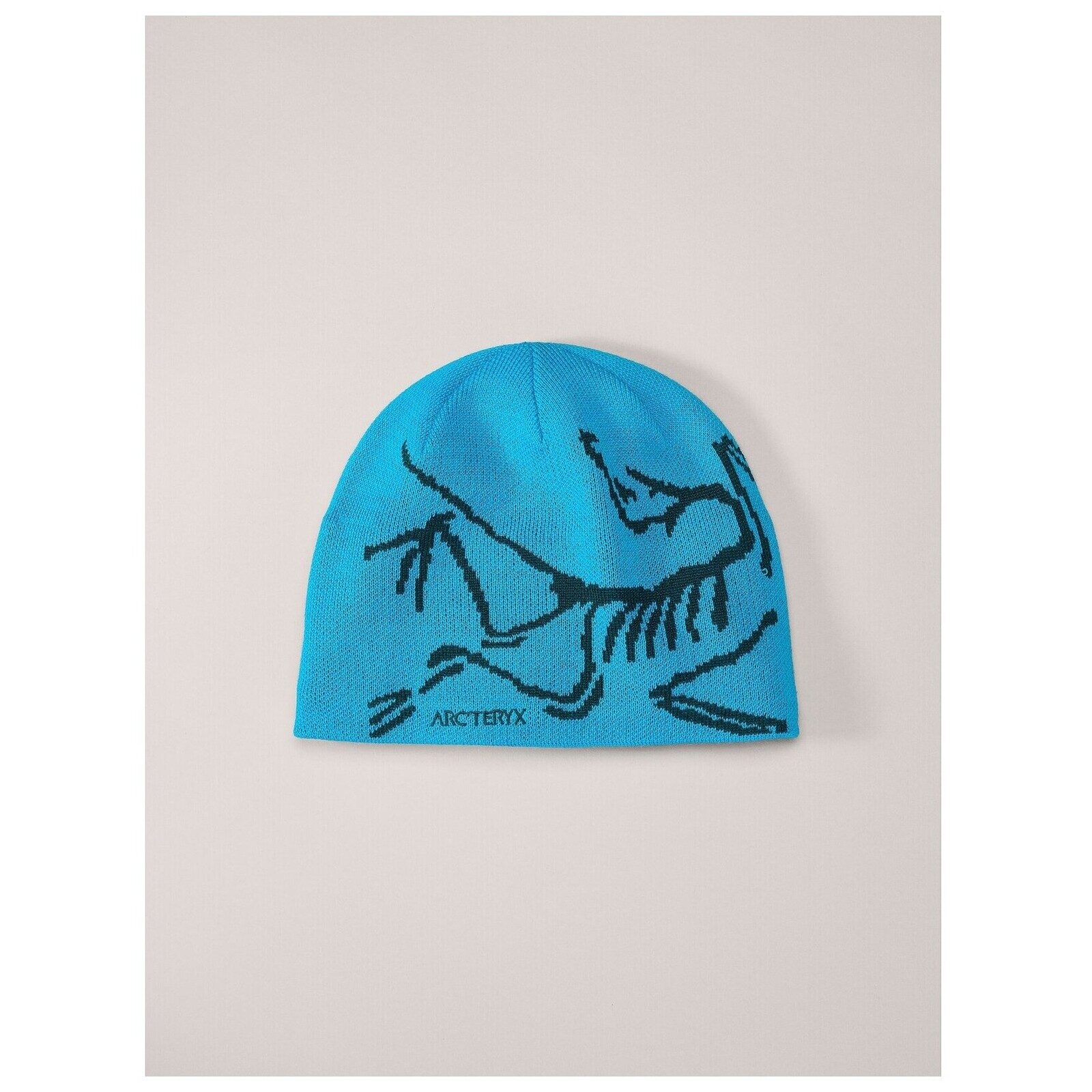 Arcteryx Bird Head Toque Hat