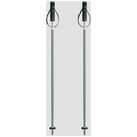 Yardsale P1 ski poles