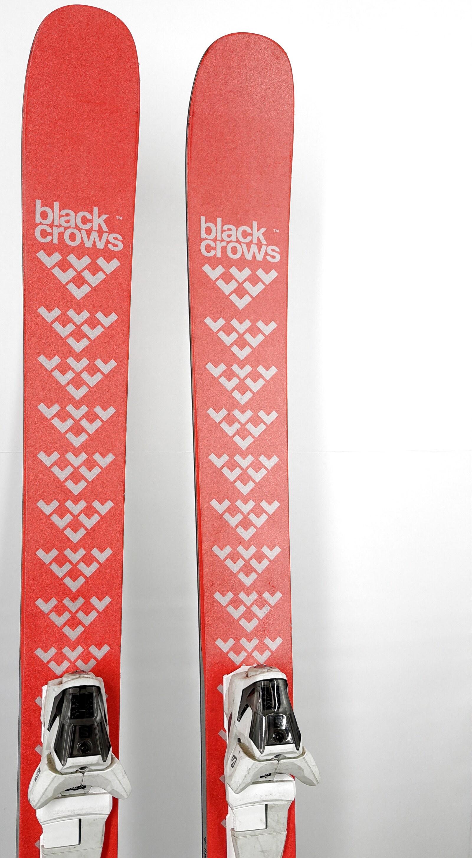 2024 Black Crows Camox Birdie Skis Tip