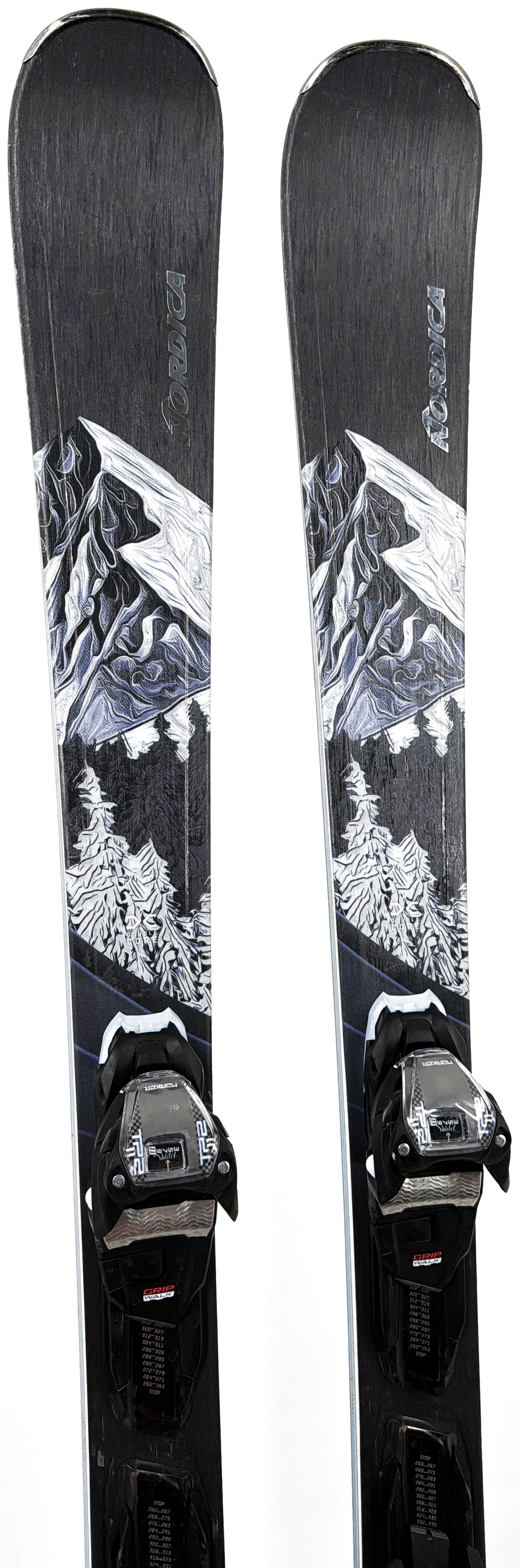 2026 Nordica Wild Belle DC 84 Skis Tip