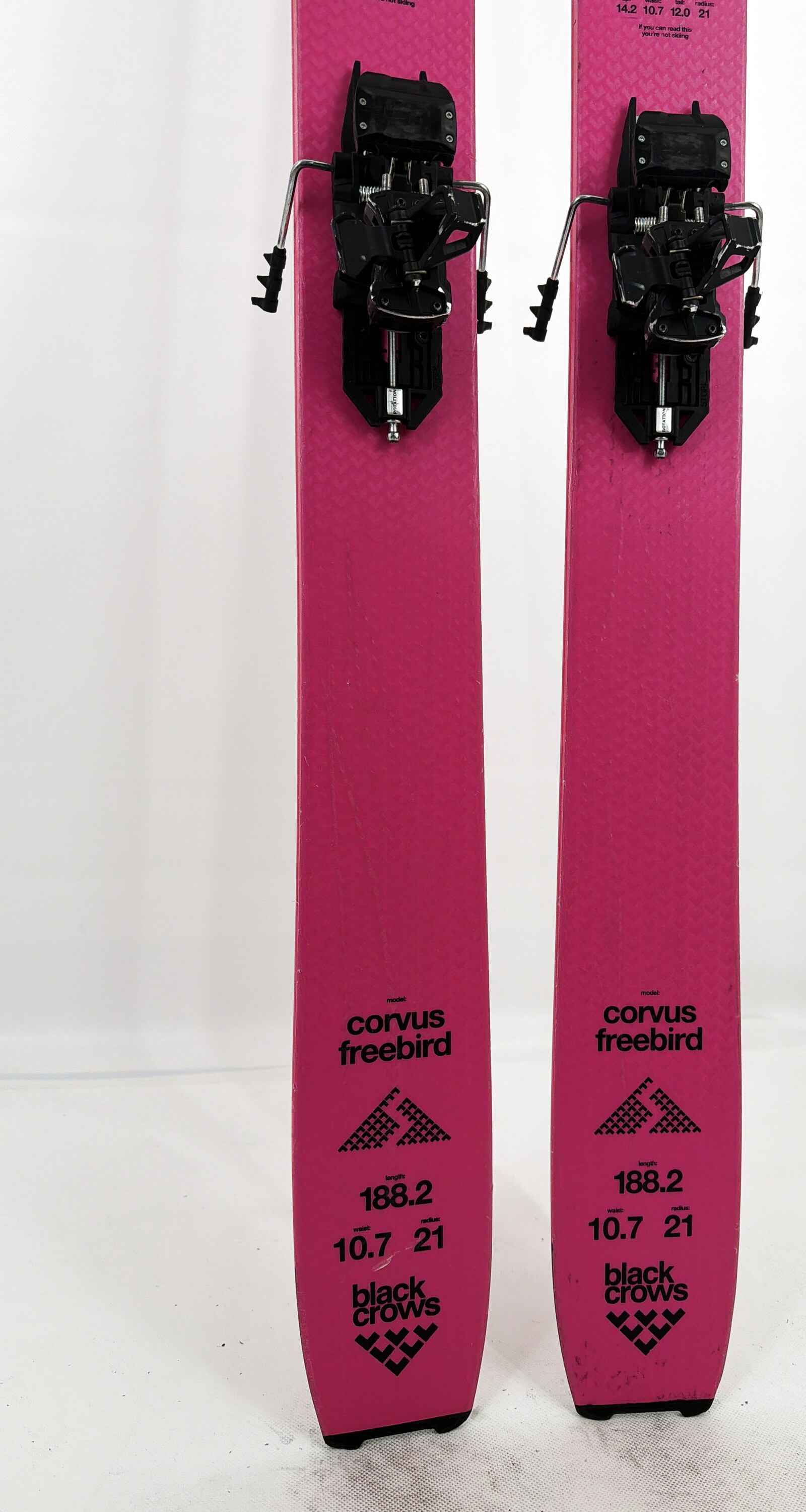 2025 Black Crows Corvus Freebird Skis Tail