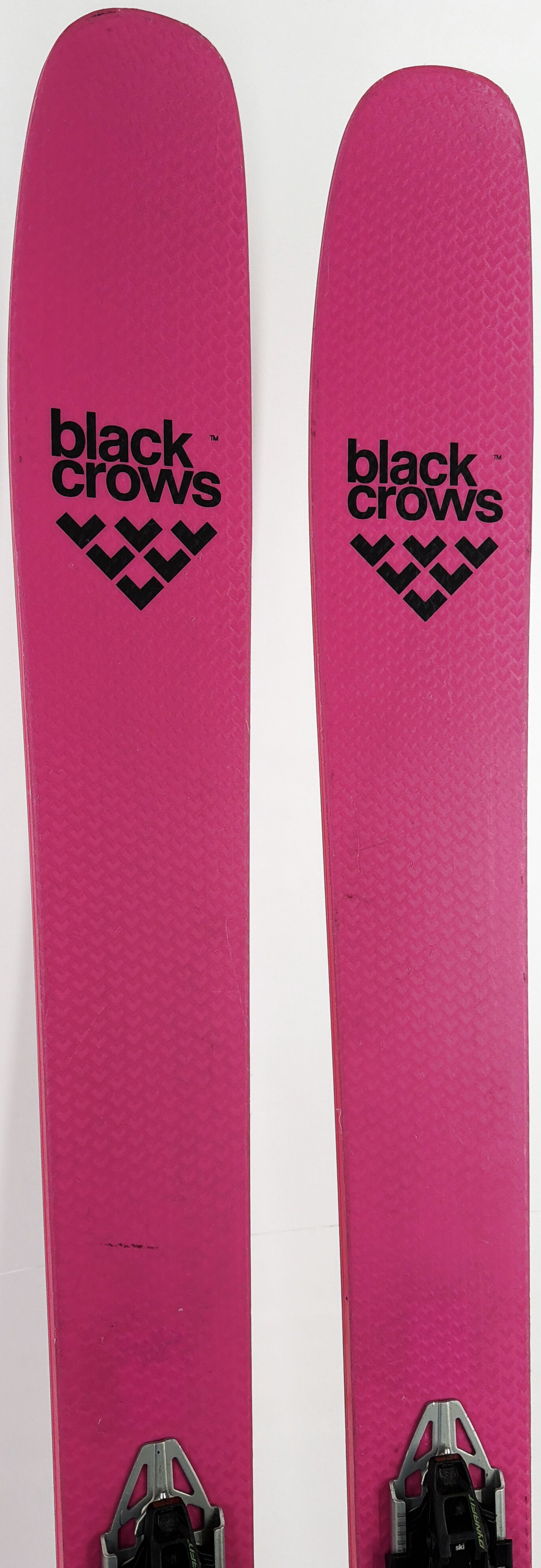 2025 Black Crows Corvus Freebird Skis Tip