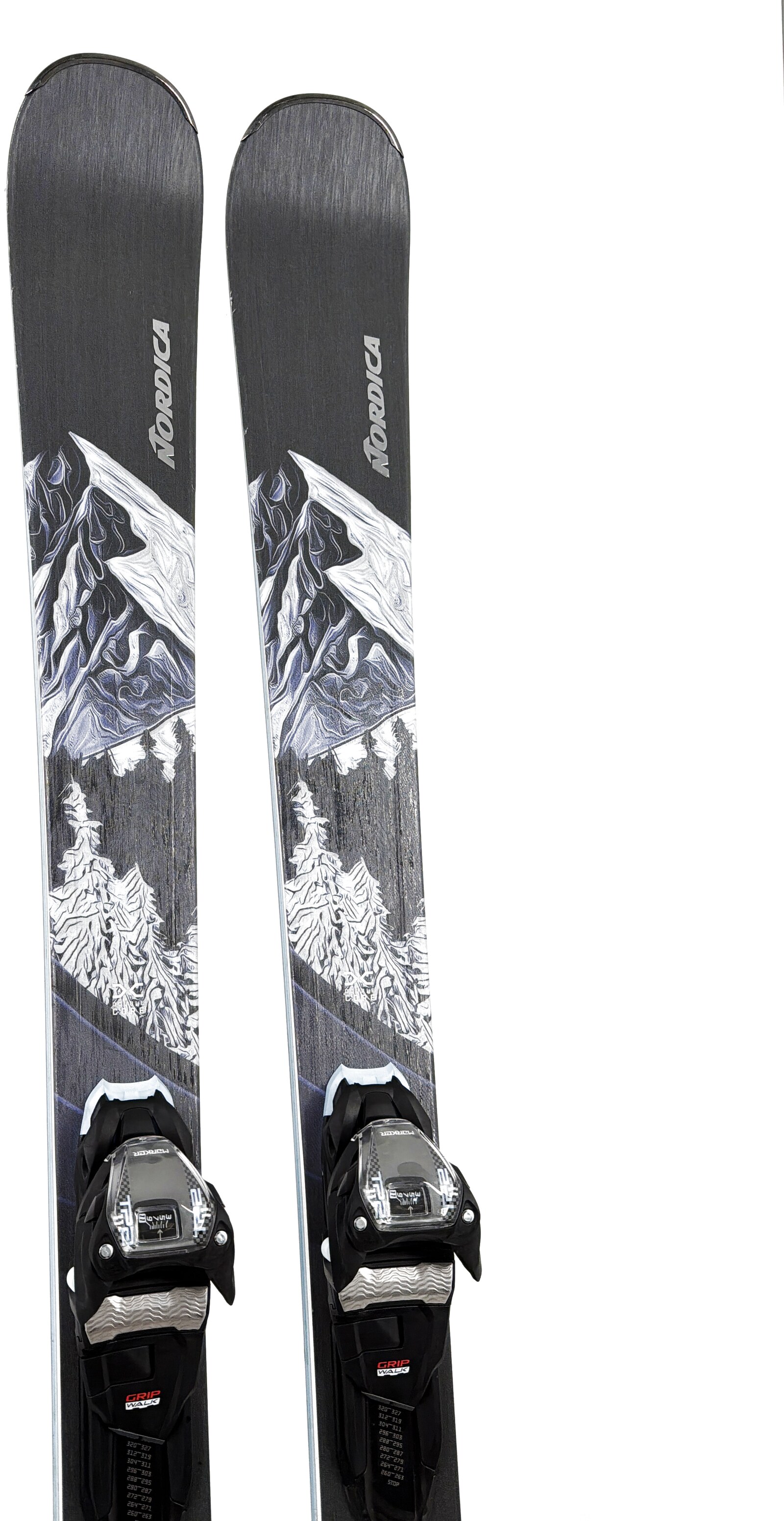 2026 Nordica Wild Belle DC 84 Skis Tip