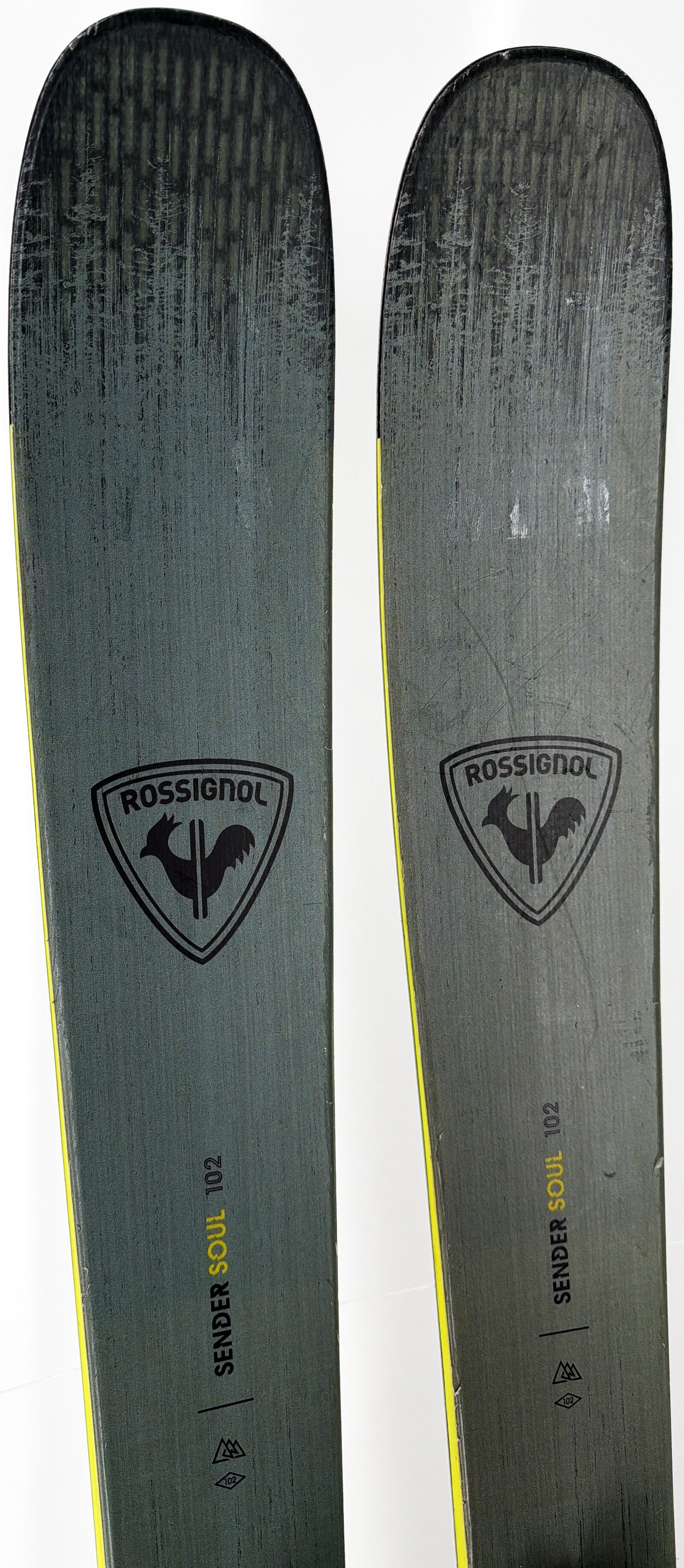 2026 Rossignol Sender Soul 102 Skis Tip