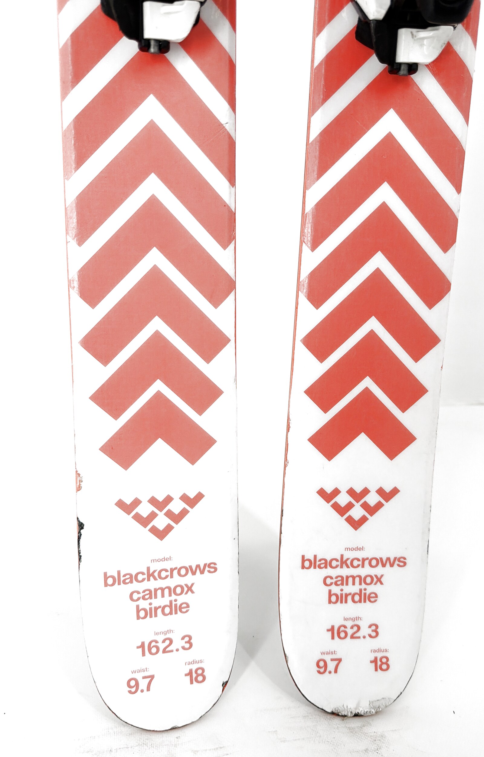 2026 Black Crows Camox Birdie Skis Tail