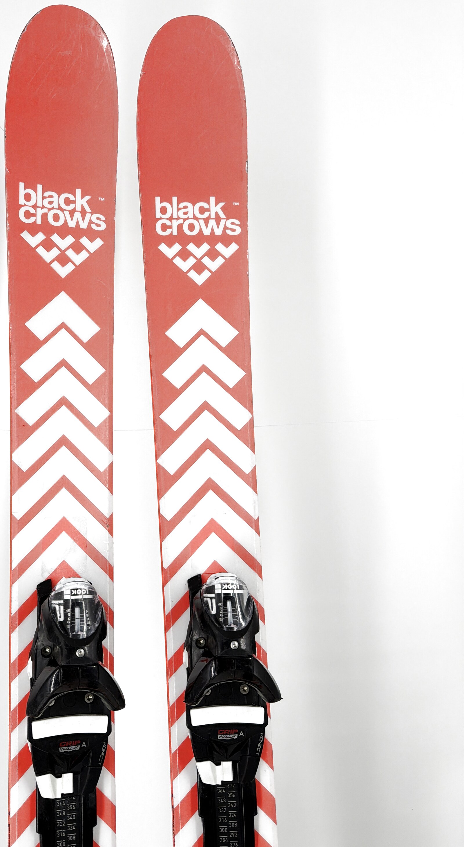 2026 Black Crows Camox Birdie Skis Tip