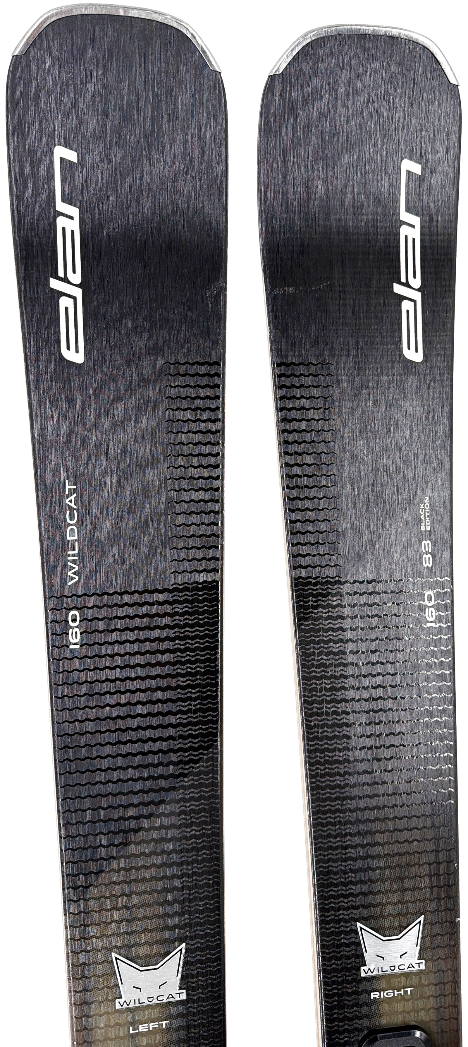 2026 Elan Wildcat 83 Black Edition Skis Tip
