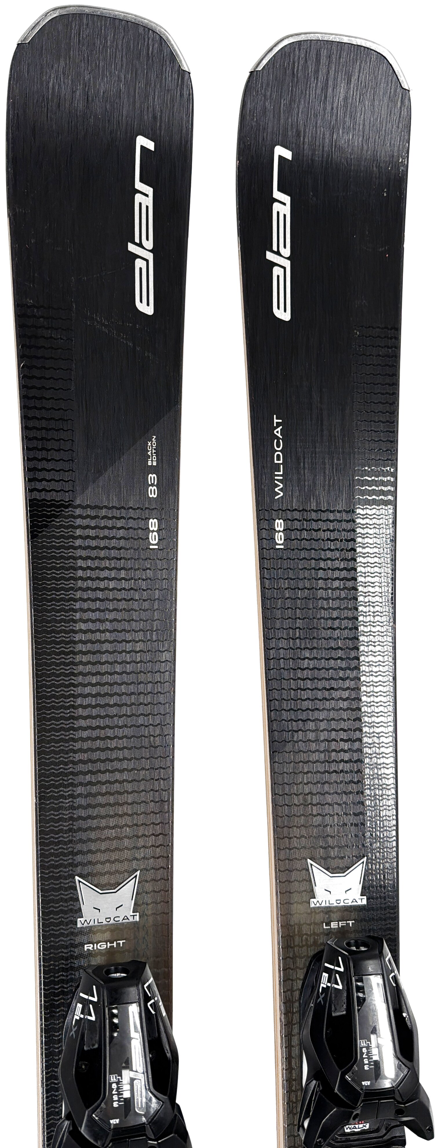 2026 Elan Wildcat 83 Black Edition Skis Tip