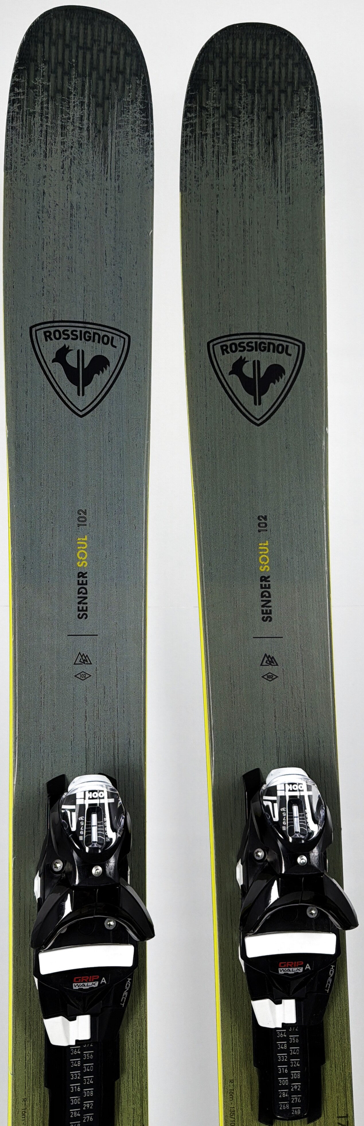2026 Rossignol Sender Soul 102 Skis Tip