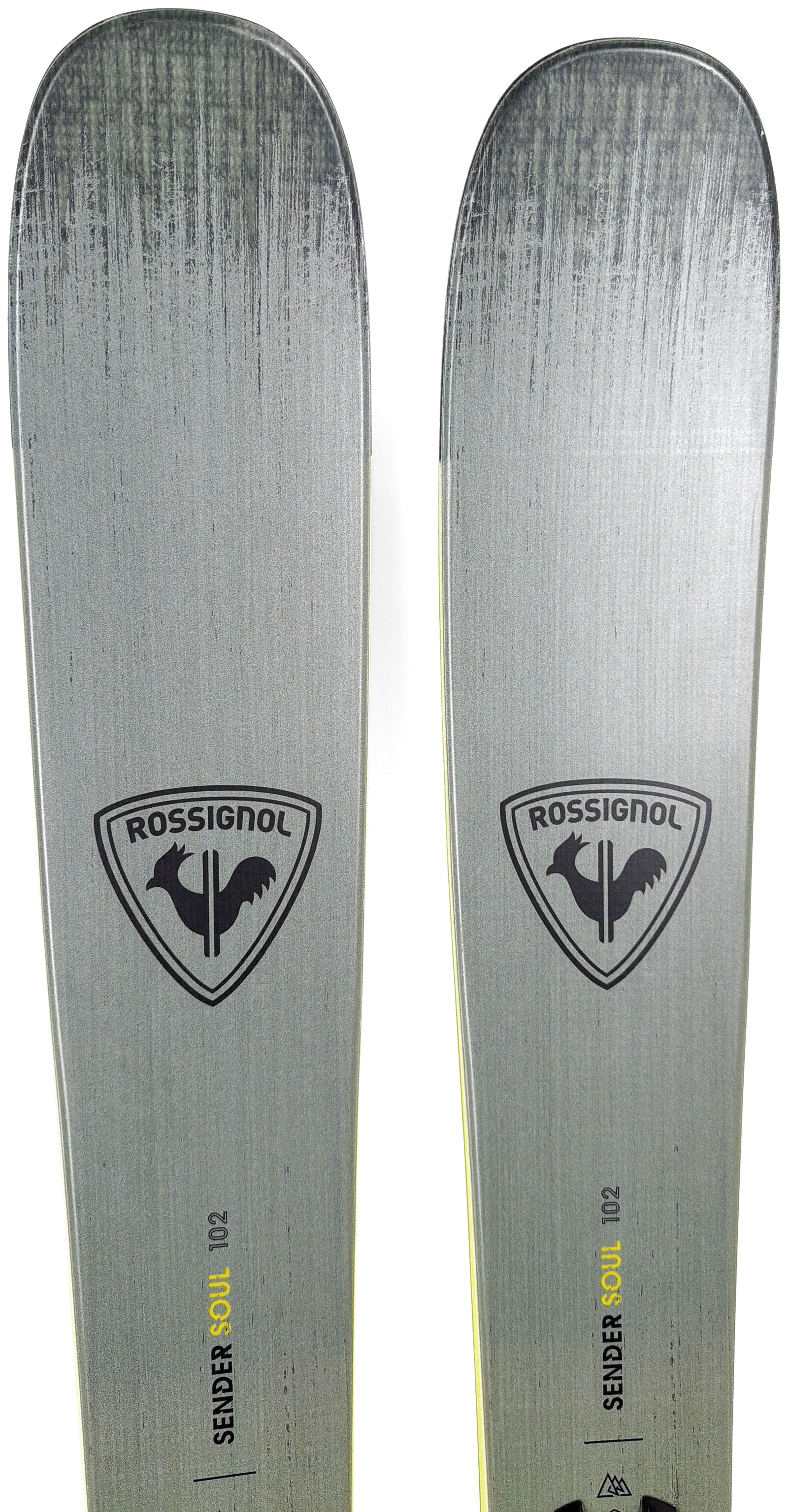 2026 Rossignol Sender Soul 102 Skis Tip