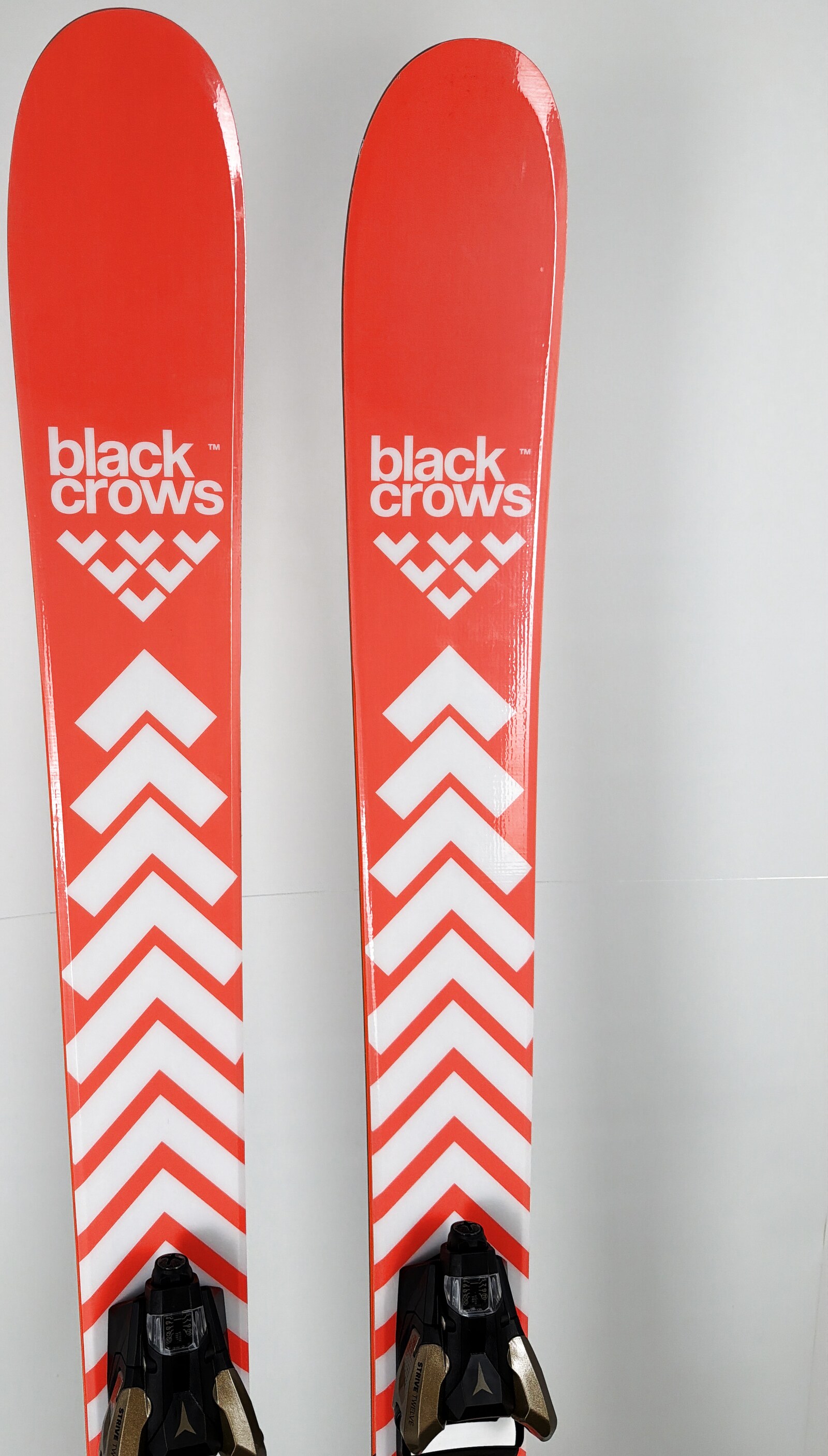 2026 Black Crows Camox Birdie Skis Tip