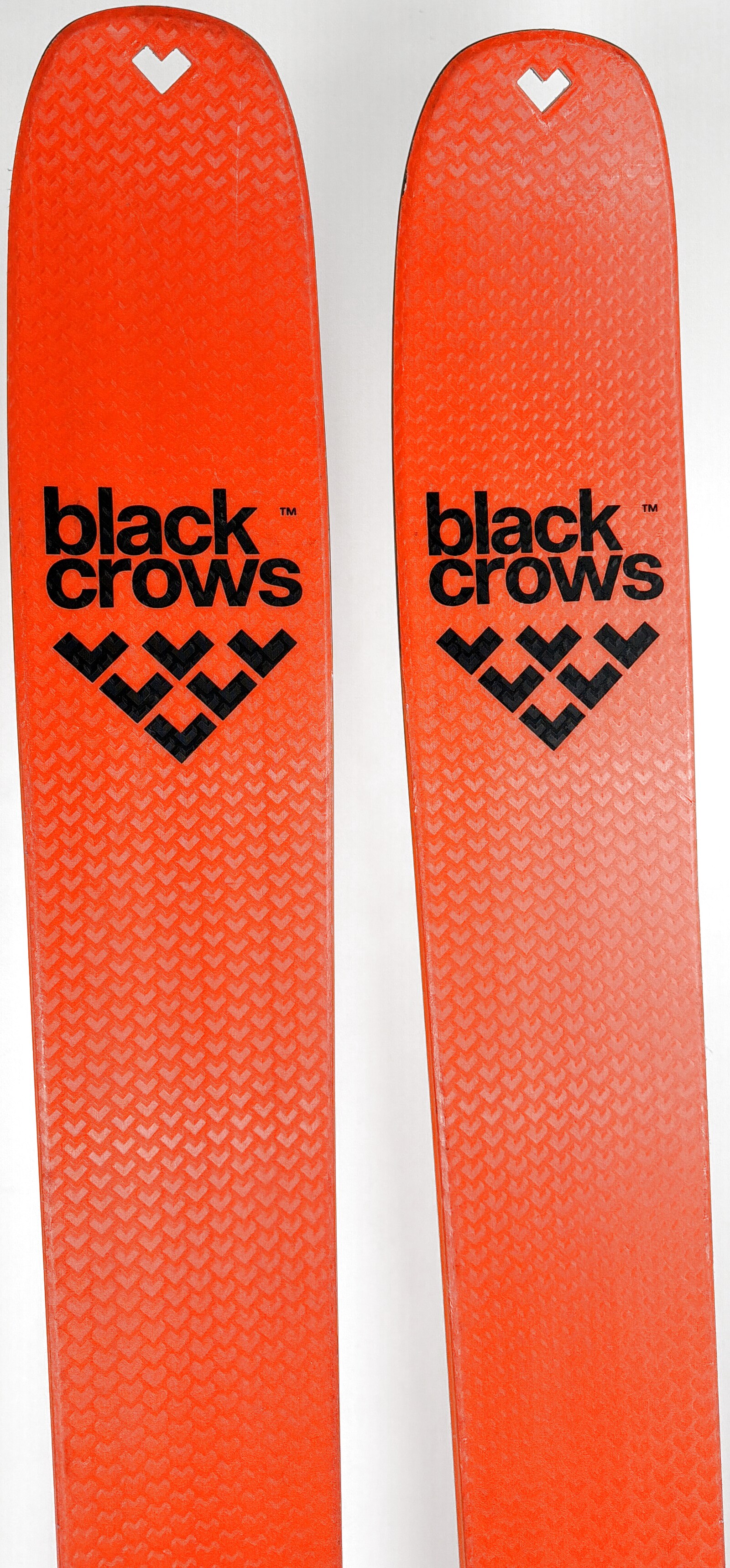2026 Black Crows Draco Freebird Skis Tip