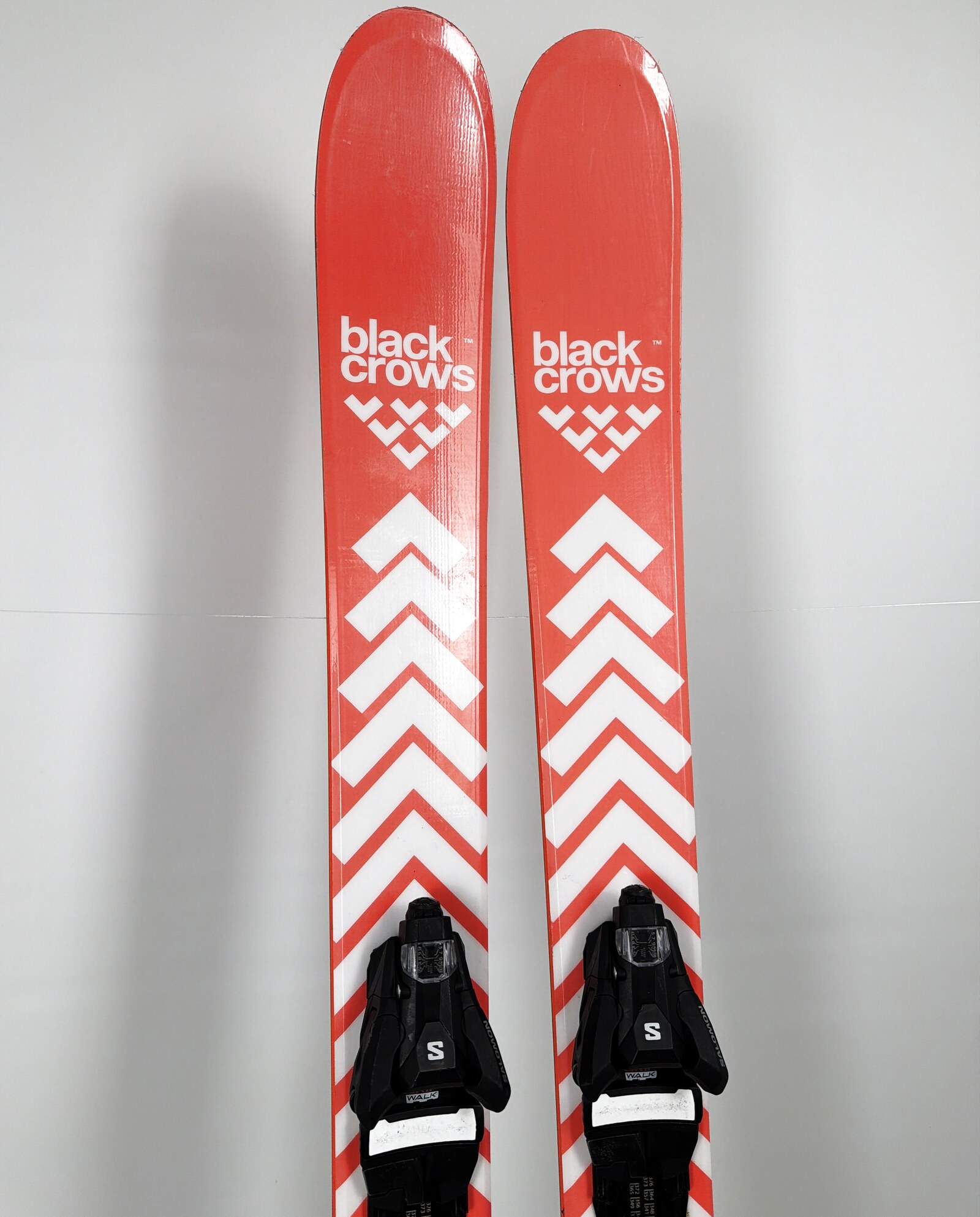 2027 Black Crows Camox Birdie Skis Tip