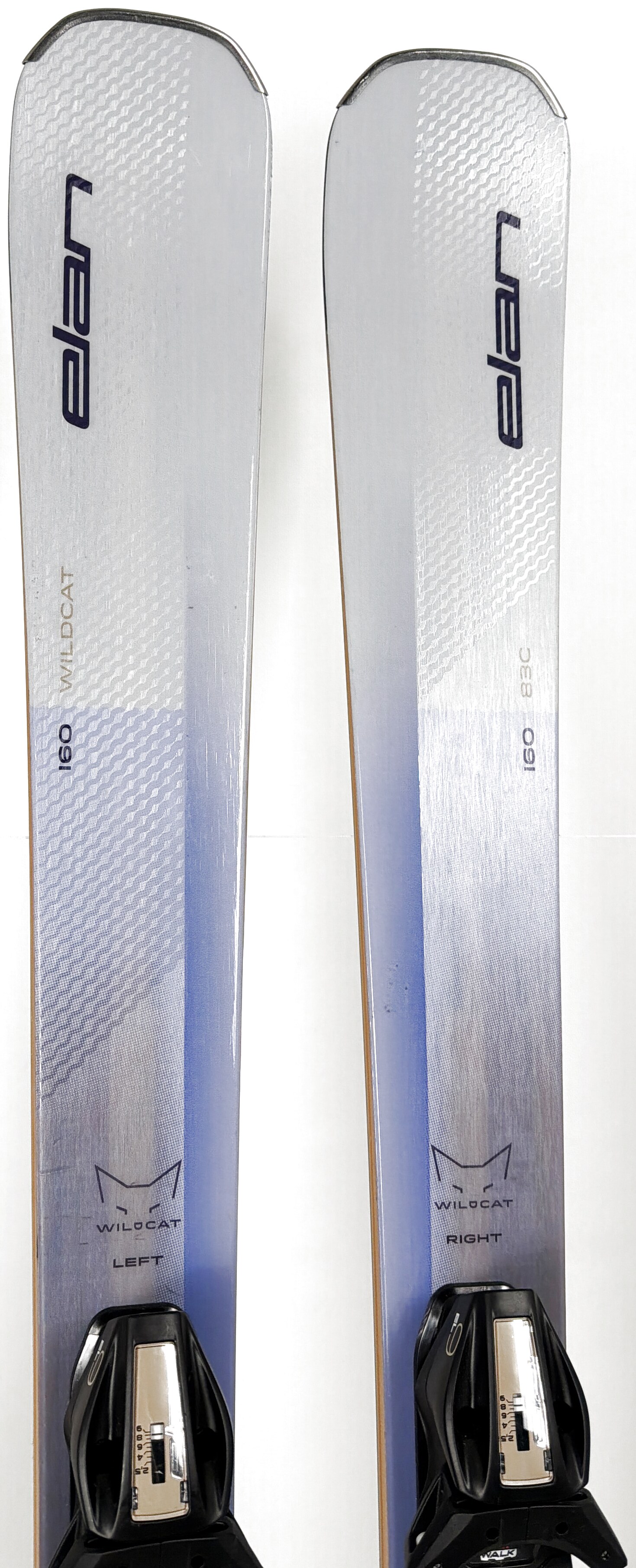 2027 Elan Wildcat 83 C Skis Tip