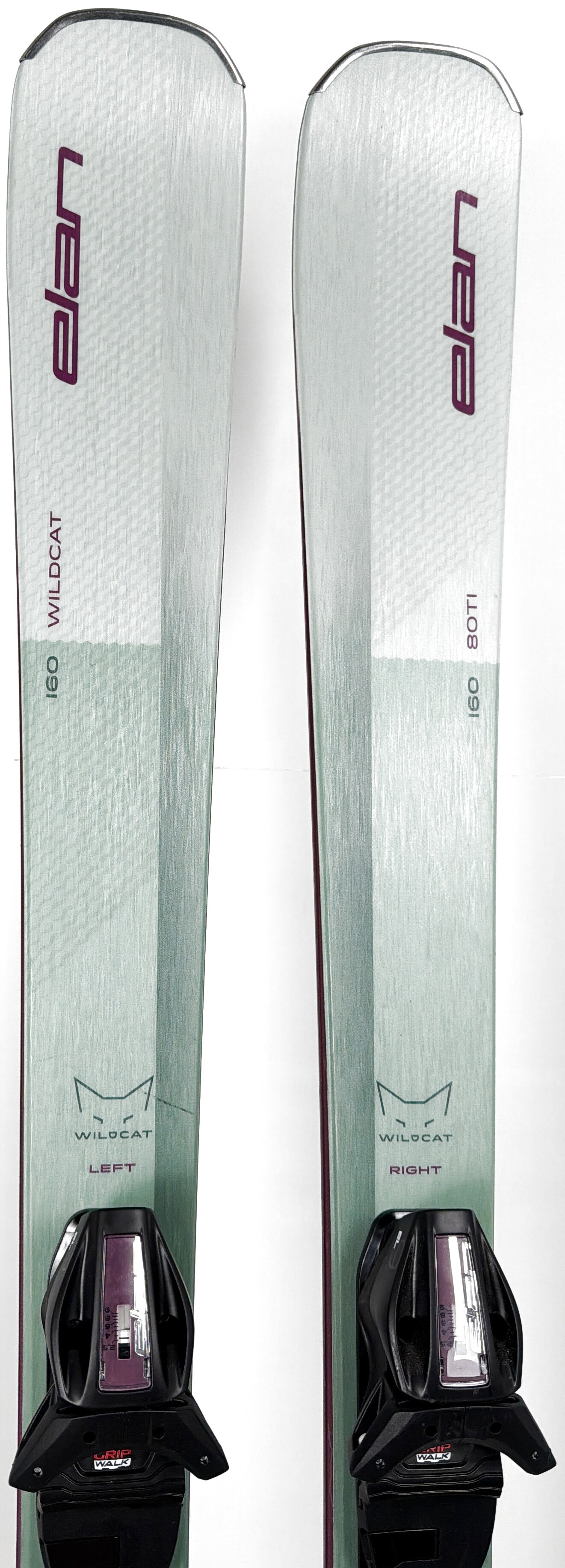 2026 Elan Wildcat 80 TI Skis Tip