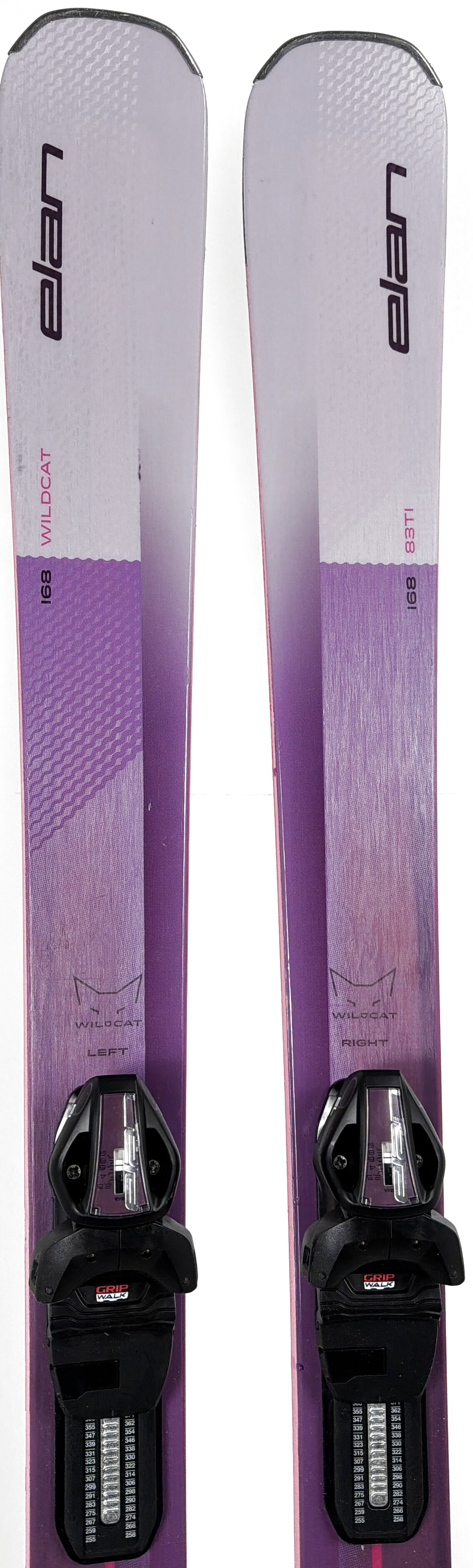 2027 Elan Wildcat 83Ti Skis Tip
