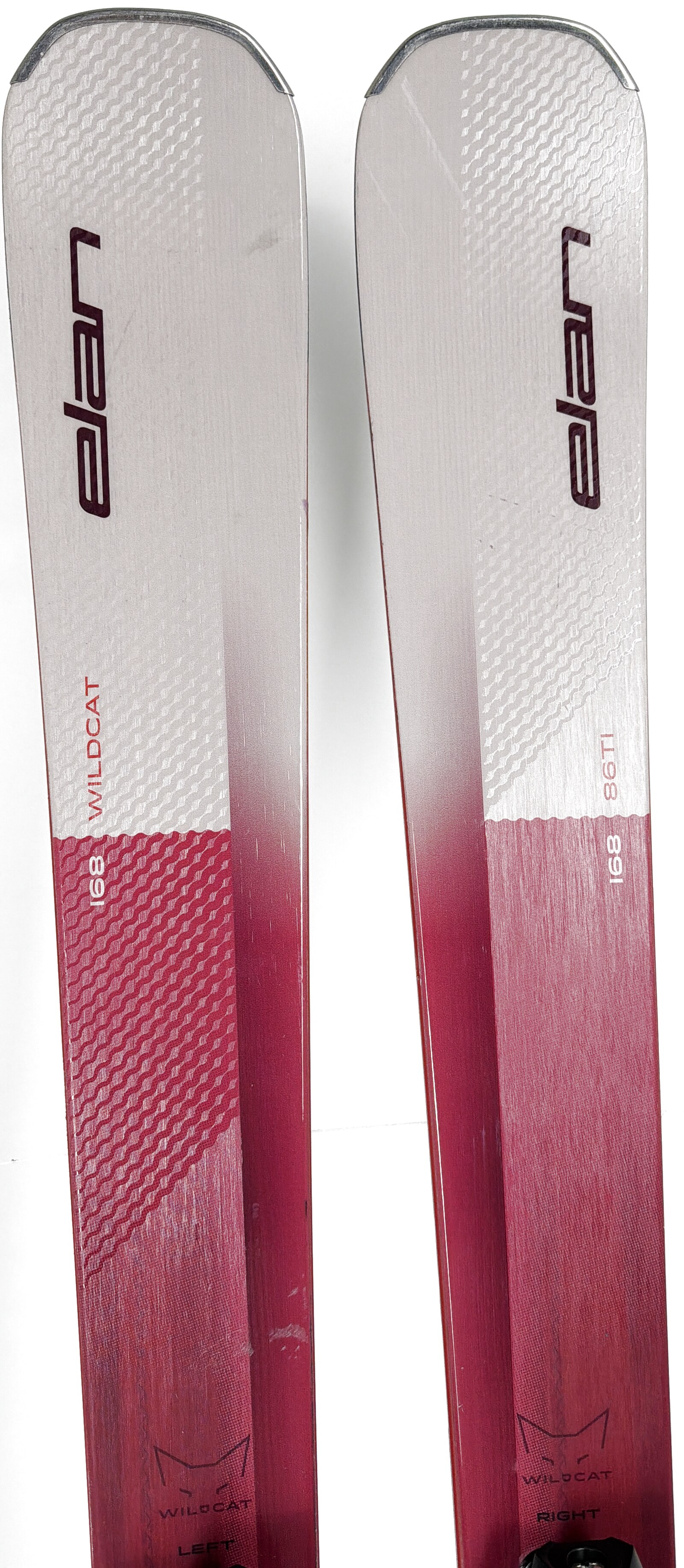 2026 Elan Wildcat 86Ti Skis Tip