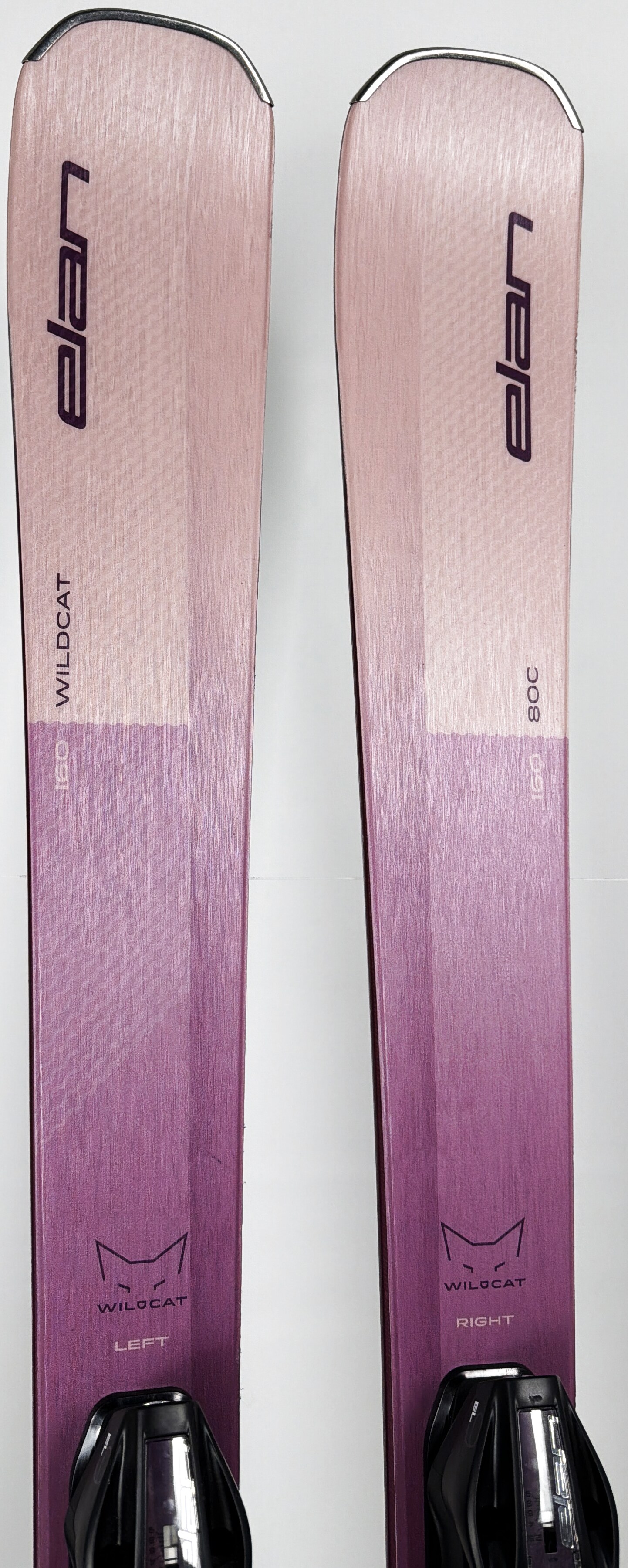 2027 Elan Wildcat 80 C Skis Tip