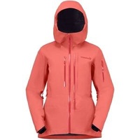 Alt 2 Lofoten Gore-Tex Pro 