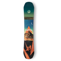 New 2027 Capita Defenders Of Awesome Skis in 162cm For Sale