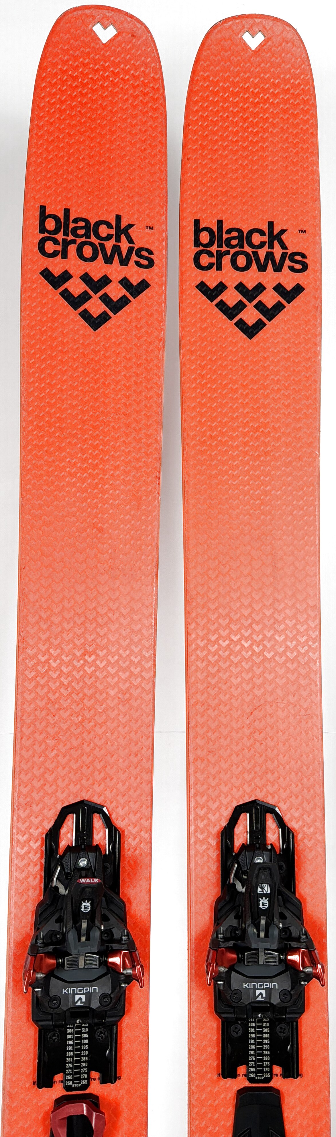 2026 Black Crows Draco Freebird Skis Tip