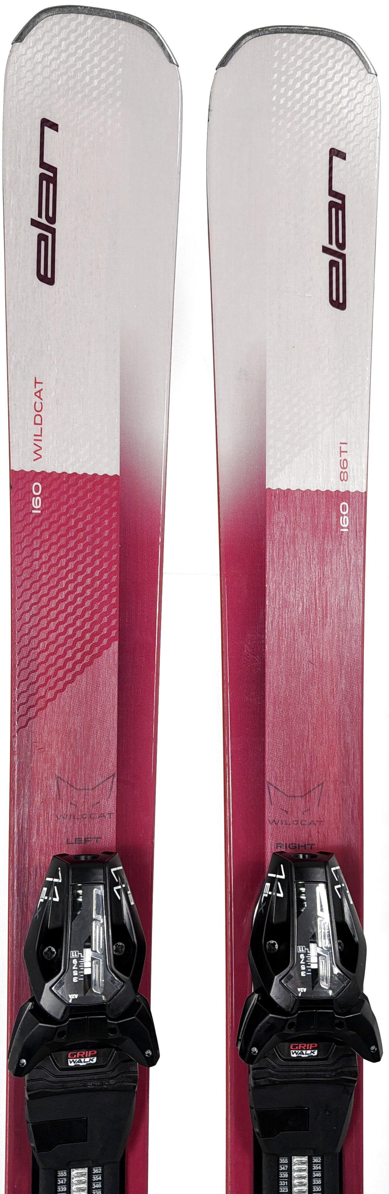 2026 Elan Wildcat 86Ti Skis Tip