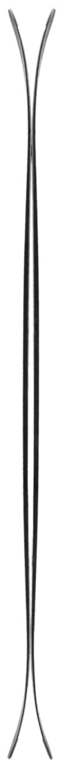 2027 Ellis Sabr 100 Skis Detail