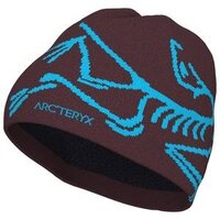 2027 Arcteryx Bird Head Toque